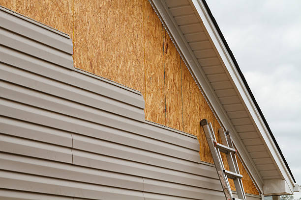 Professional Siding Inspection technician working in Ferndale, WA